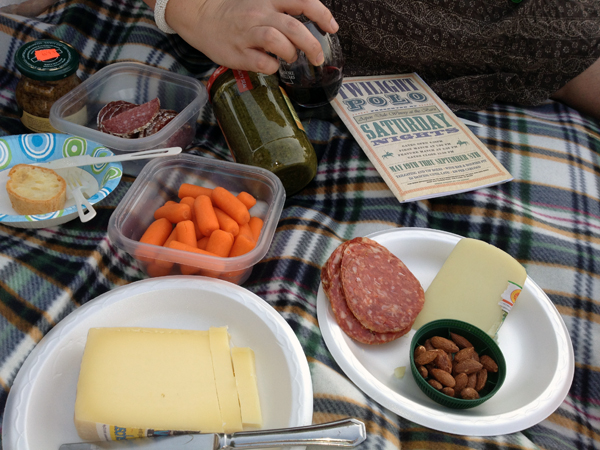 twilight polo picnic